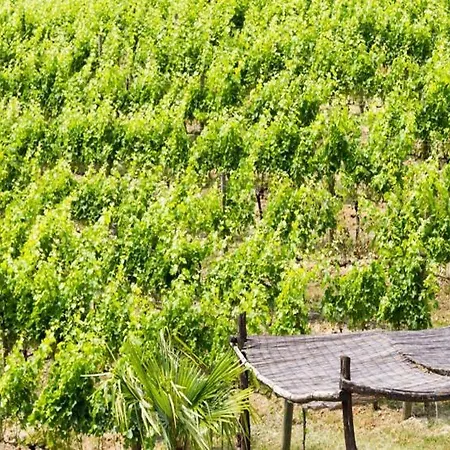 Aparthotel La Vigna 3*