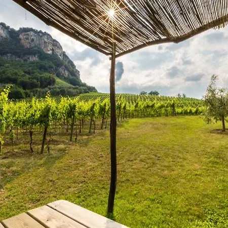 Aparthotel La Vigna